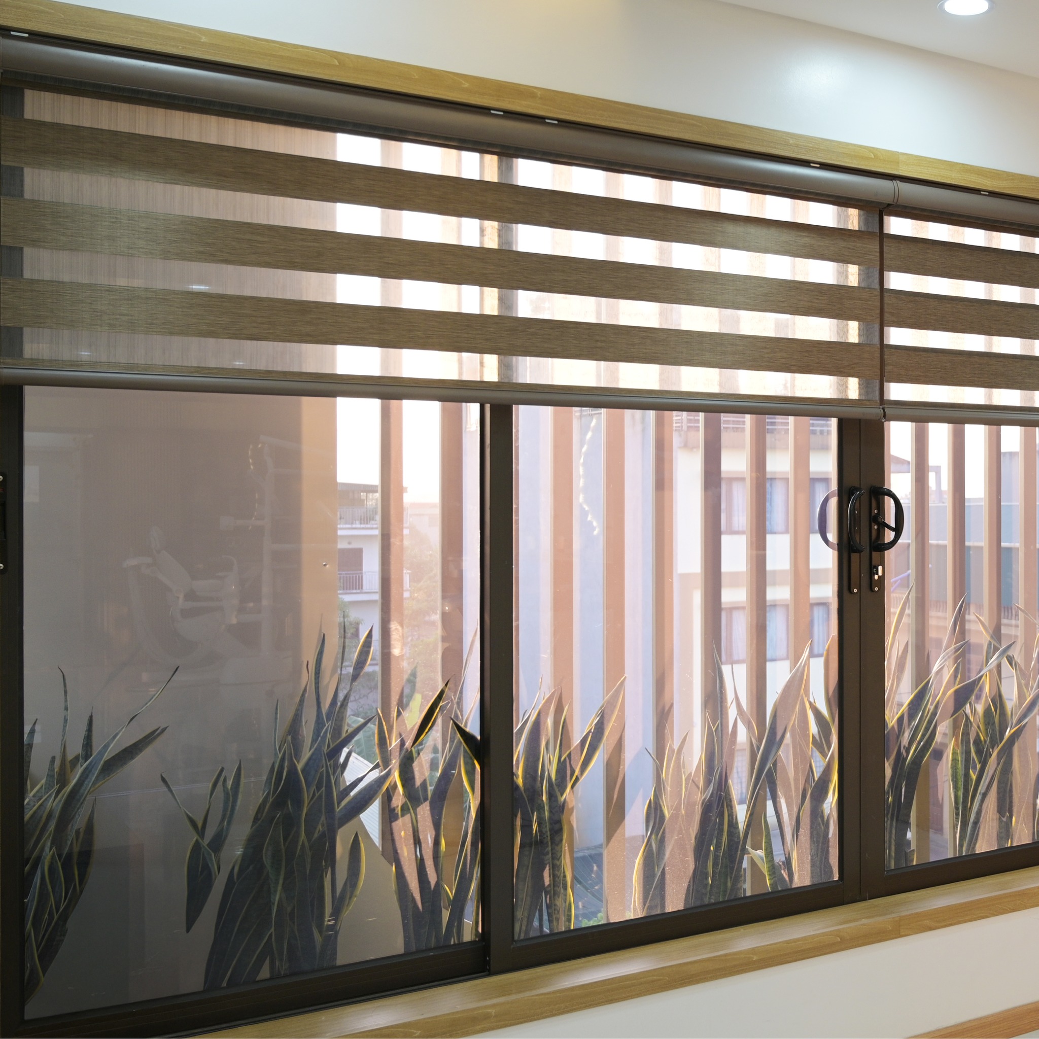 Rèm Cầu Vồng Cho Văn Phòng – Nâng Tầm Không Gian, Khơi Nguồn Sáng Tạo